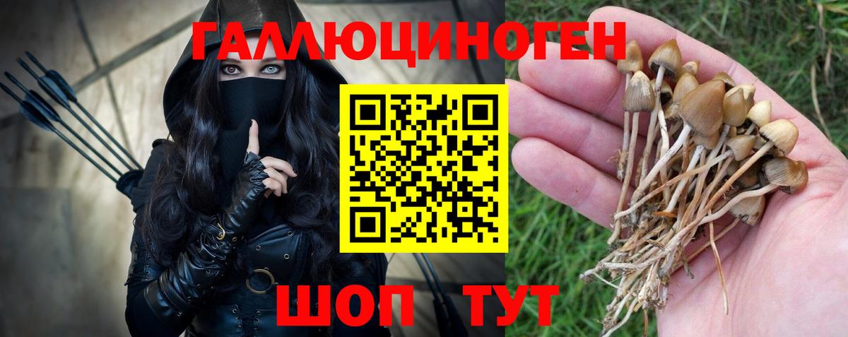 Псилоцибиновые грибы ЛСД  где найти наркотики  Псилоцибиновые грибы ЛСД  Евпатория  Вход с VPN 